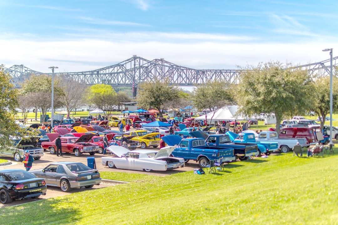 Cruising for a Cure